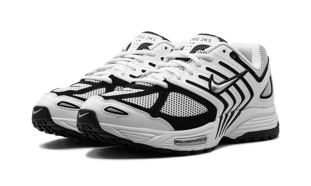 Air Pegasus 2K5 "White / Black" FJ1909 100