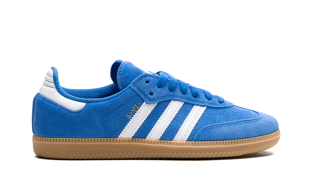 Samba Adv "Blue Bird" JP5719