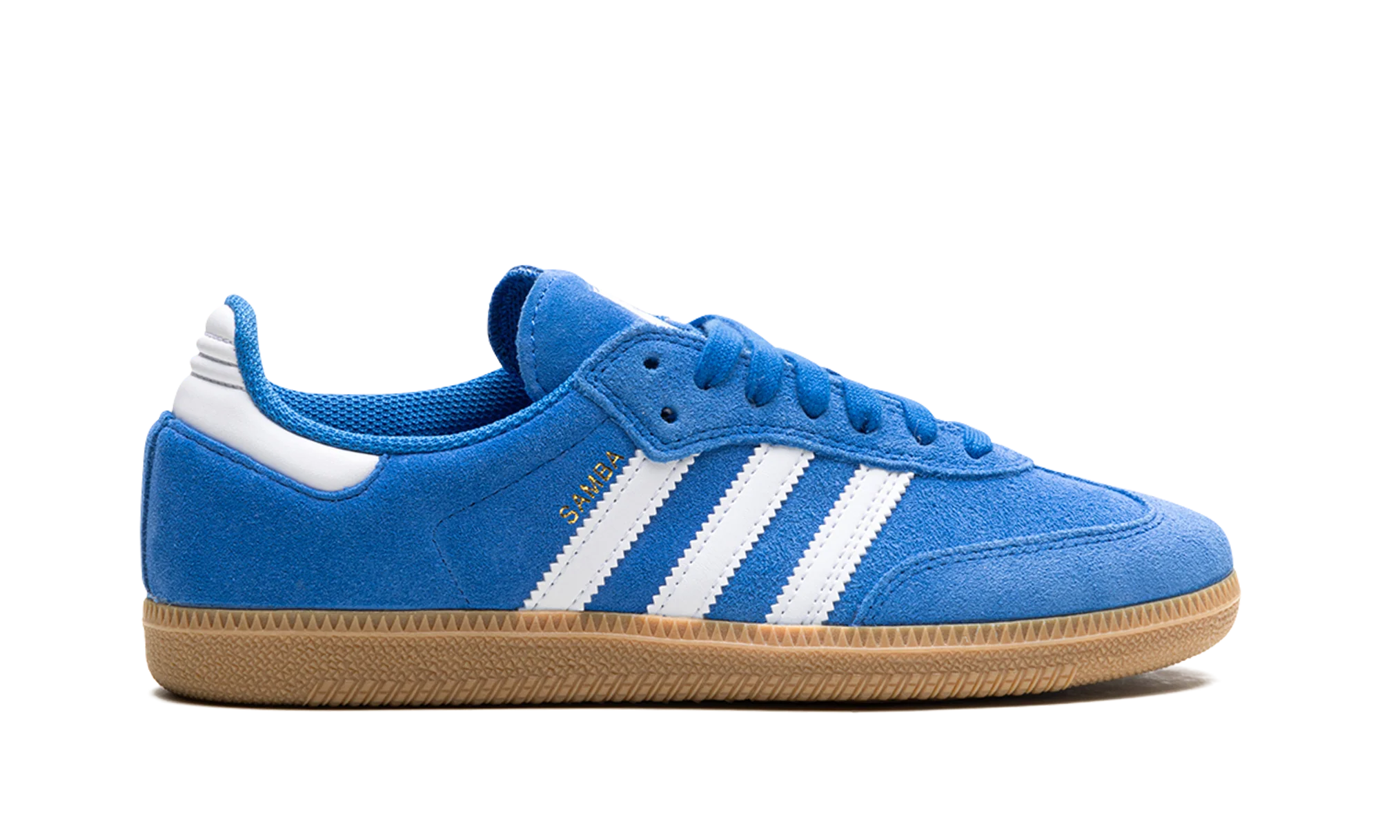 Samba Adv "Blue Bird" JP5719