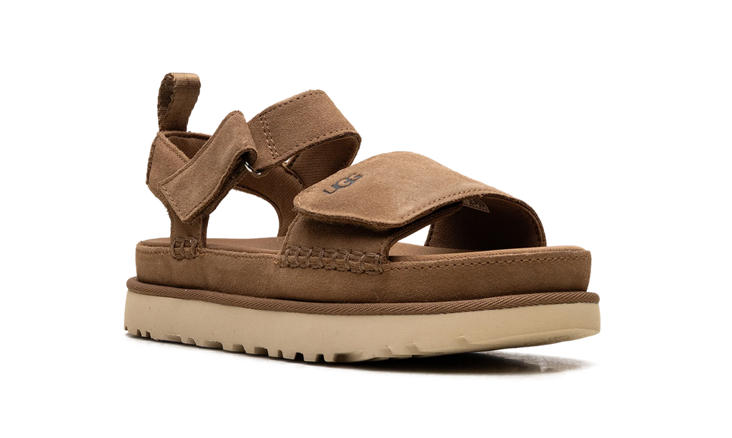 Goldenstar "CHESTNUT" 1136783