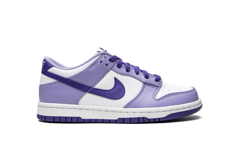 Dunk Low GS "Blueberry" DZ4456 100