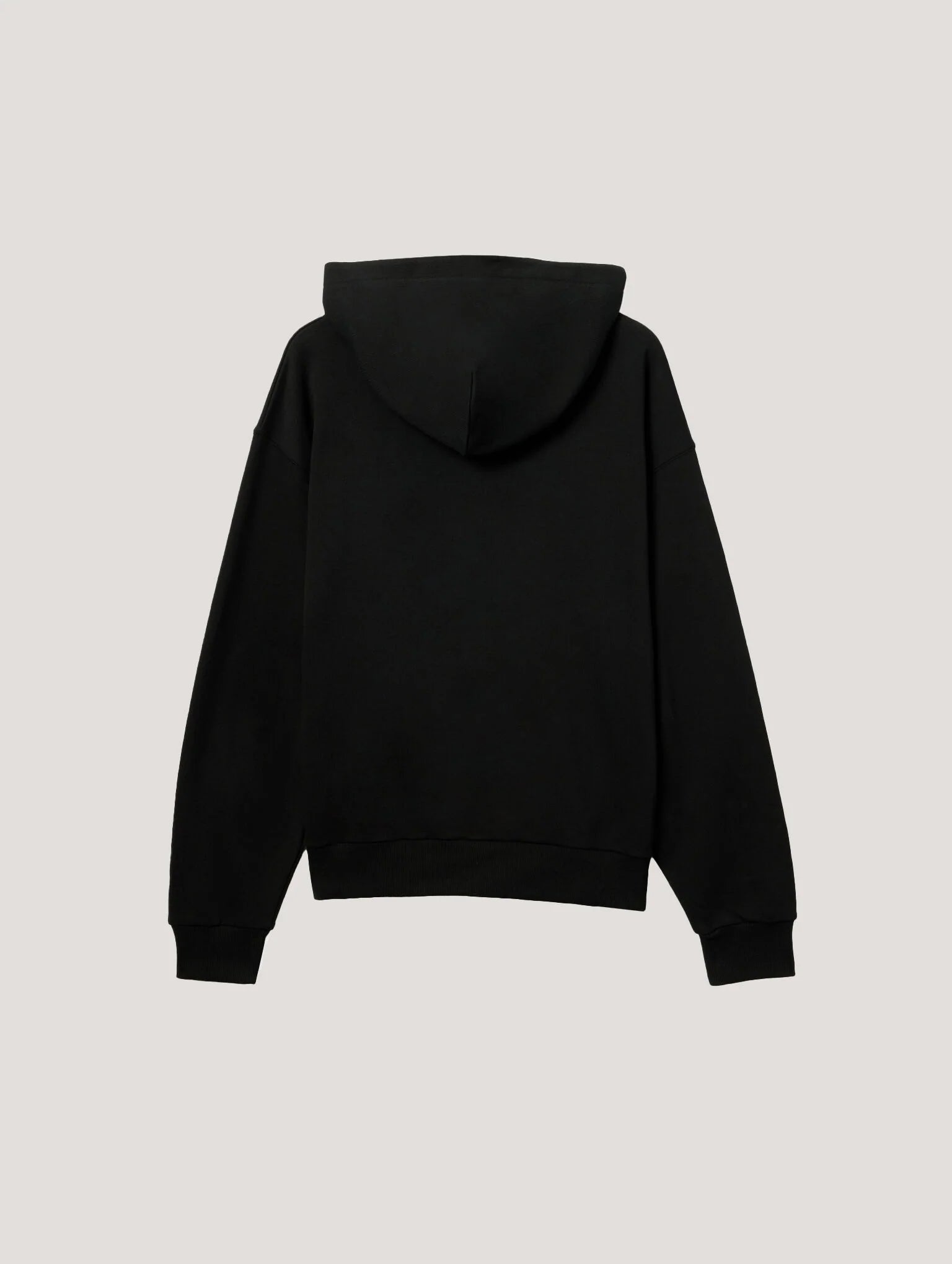Pa X Everlast Regular Hoodie
