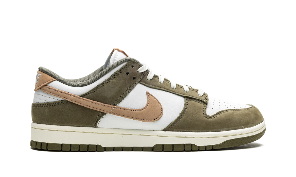 Dunk Low "Medium Olive" FQ8250 200