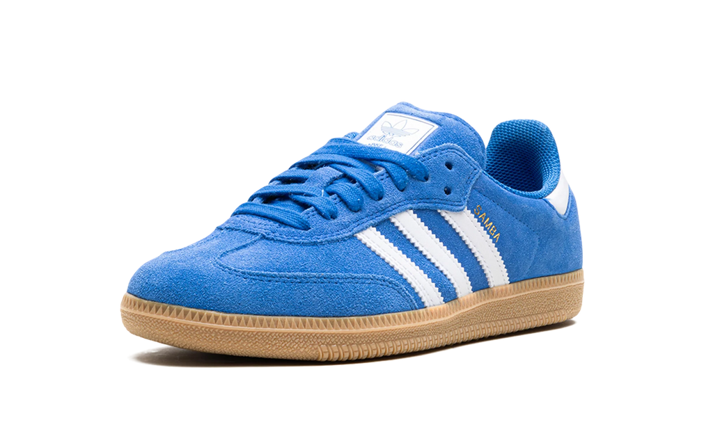 Samba Adv "Blue Bird" JP5719