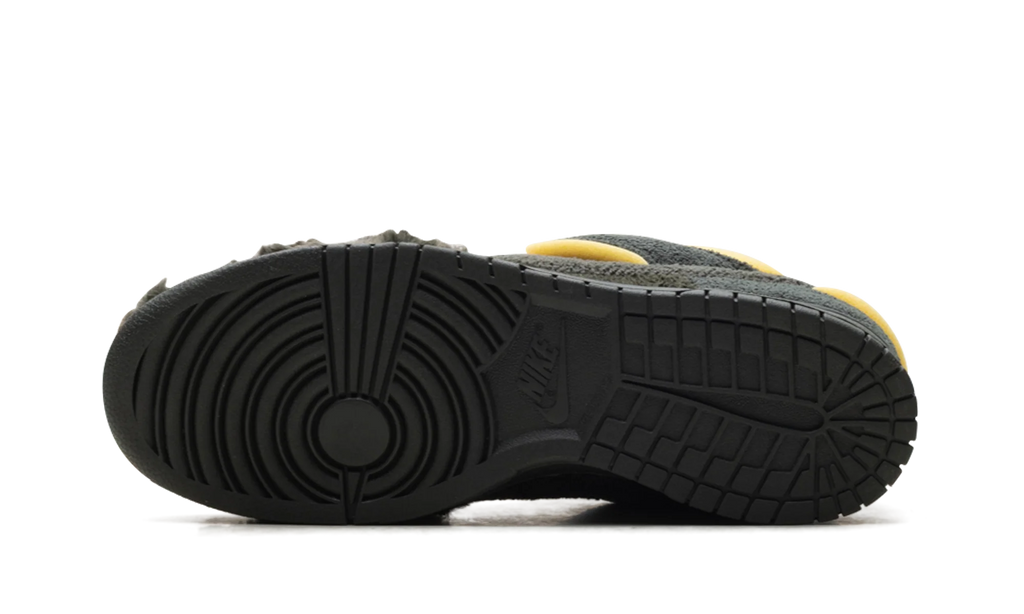 Dunk Low "CPFM Swamp Spone - Sequoia" IH5094 300
