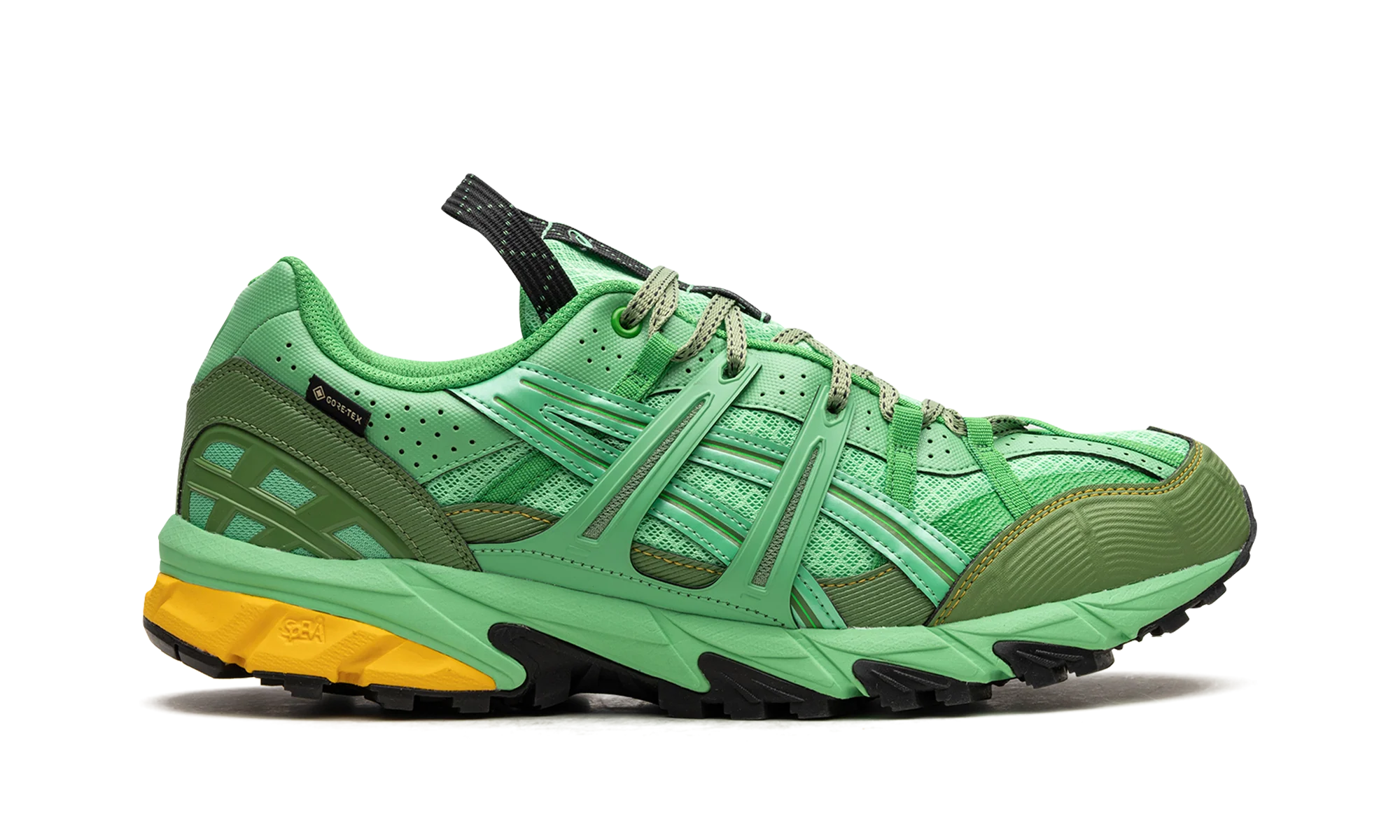 HS4-S Gel-Sonoma 15-50 Gore-TEX "Spring Bouquet" 1201A440 300