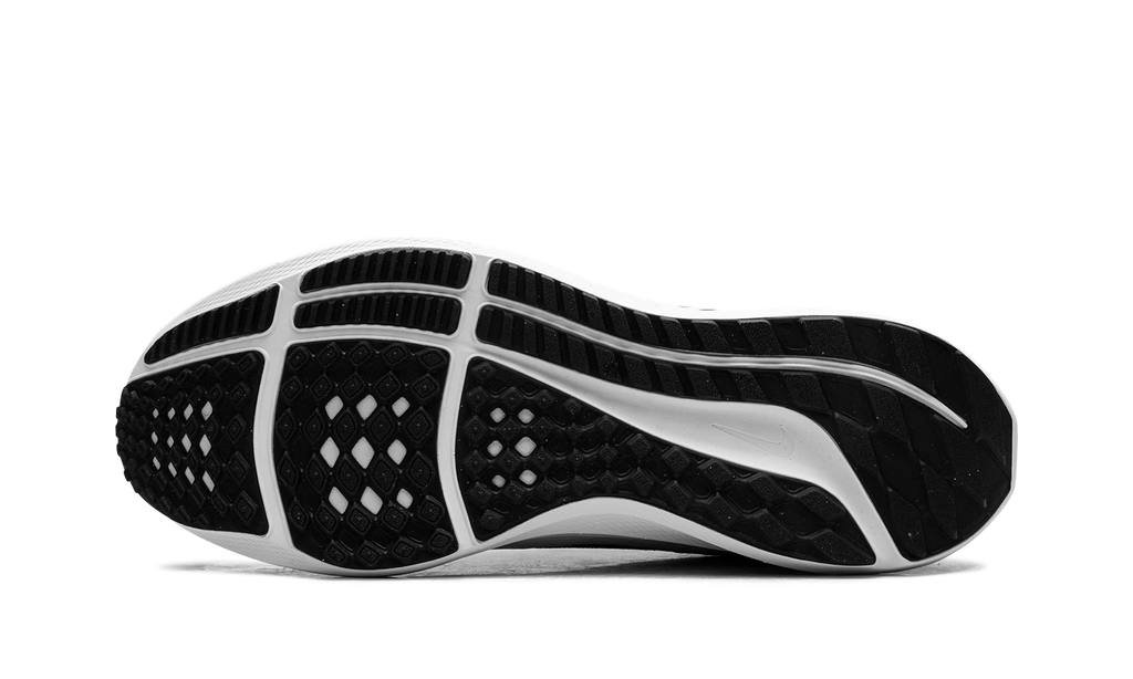 Air Zoom Pegasus 40 "Black White" DV3853 001