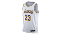 NBA SWINGMAN JERSEY LAKERS ASSOCIATION LEBRON JAMES "White" DN2081 103