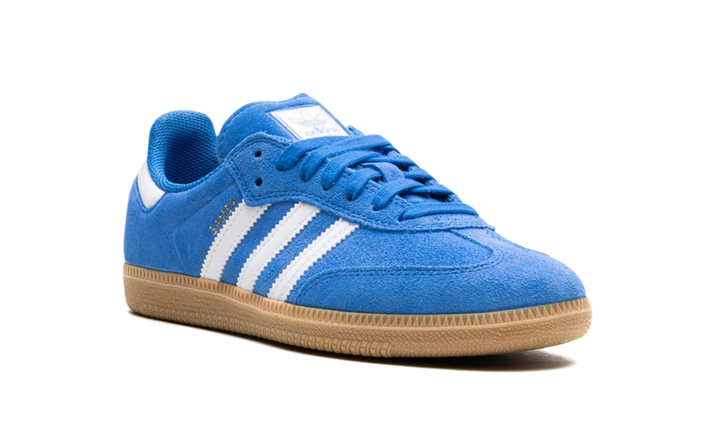 Samba Adv "Blue Bird" JP5719