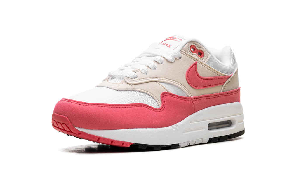 Air Max 1 WMNS "Aster Pink" DZ2628 110