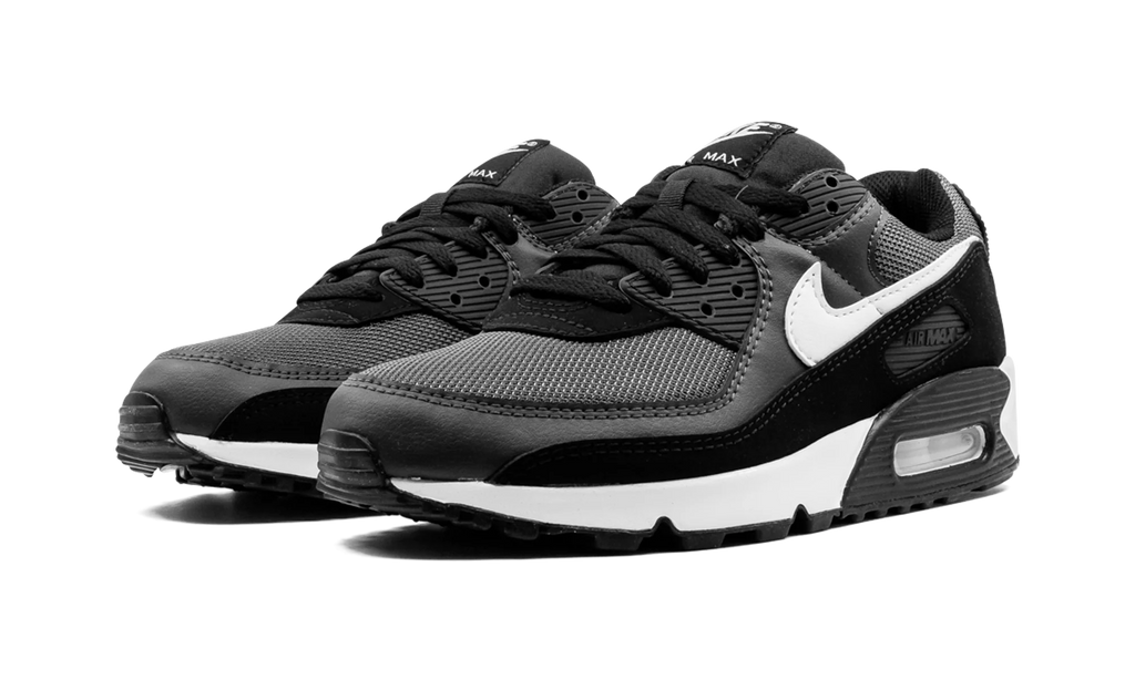 Air Max 90 "Iron Grey" CN8490 002