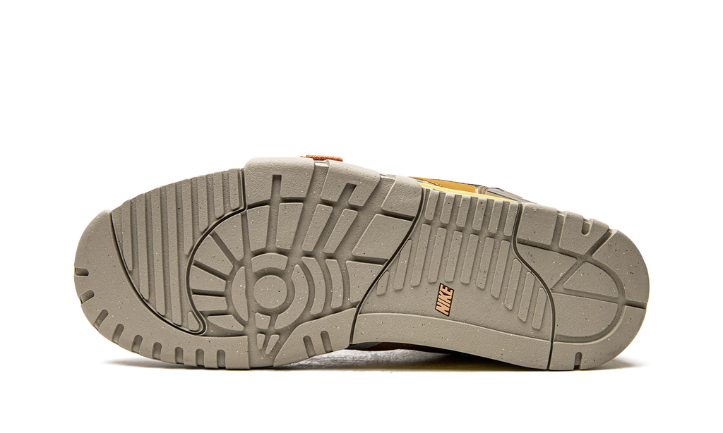 Air Trainer 1 SP "Coriander" DH7338 300