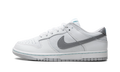 Dunk Low SE "Winter Storm" HQ3619 121