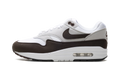 Air Max 1 WMNS "Baroque Brown" DZ2628 004