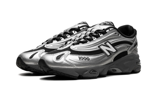 1000 "Black Silver Metallic" M1000EGR