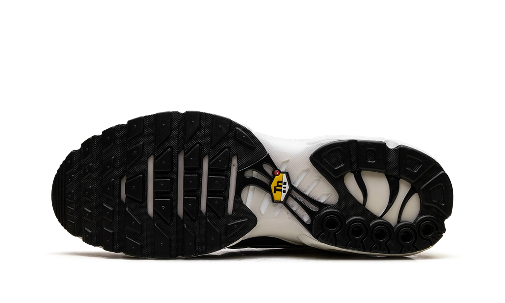Air Max Plus "Panda" FV6264 001