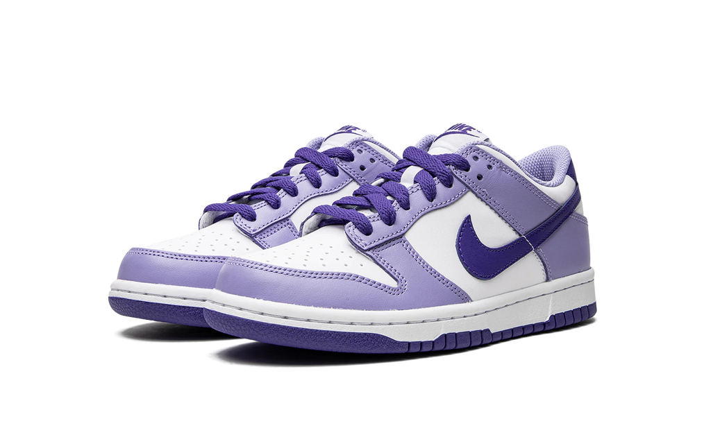 Dunk Low GS "Blueberry" DZ4456 100