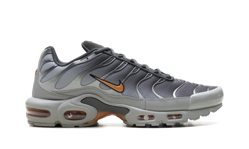 Air Max Plus "Light Smoke Grey Hot Curry" DM0032 037